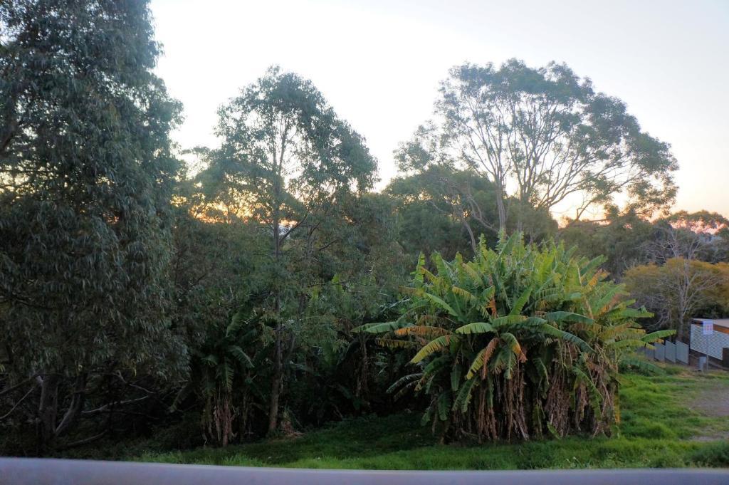 Panorama Motor Inn Newcastle Quarto foto